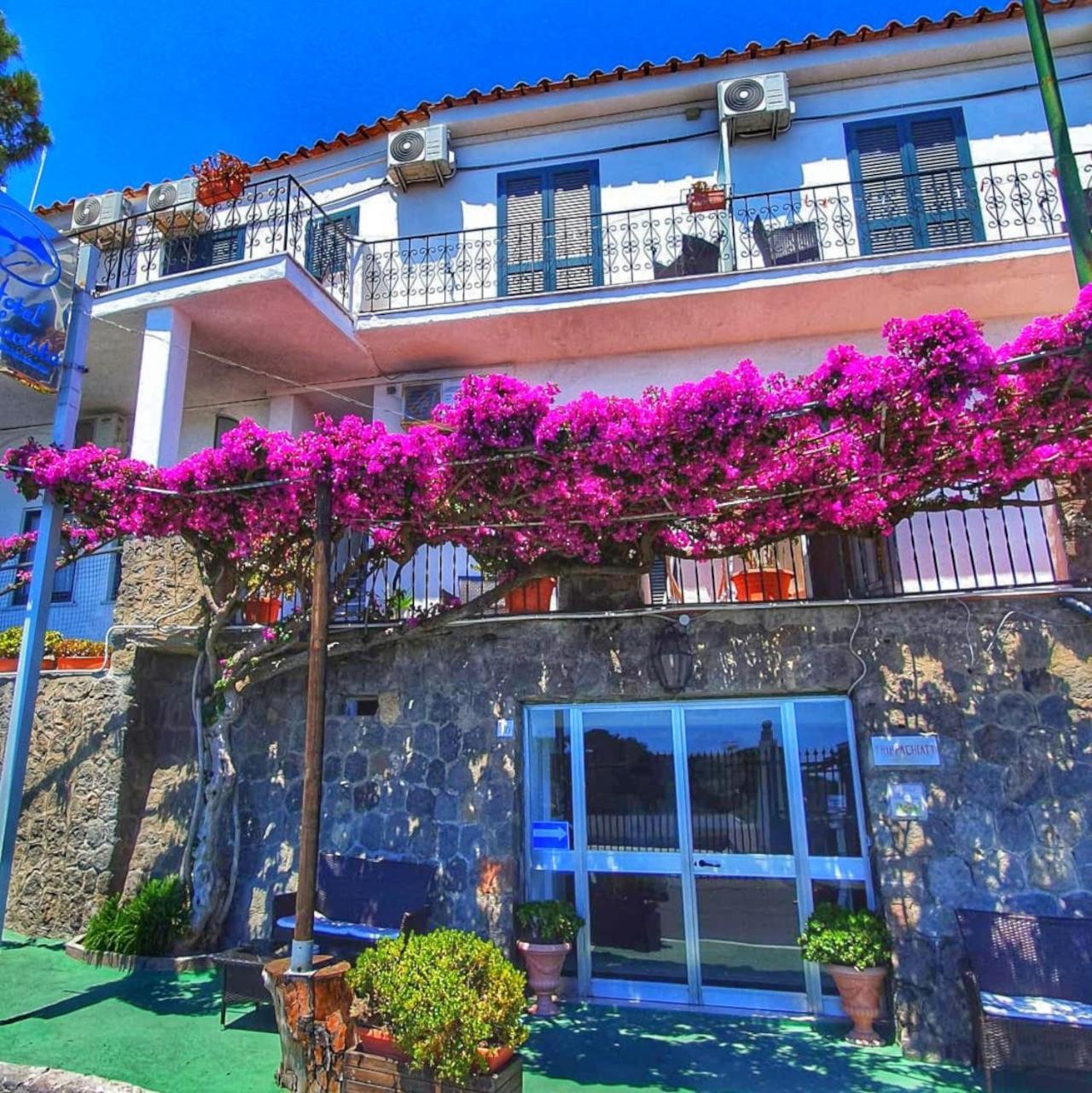 Hotel Bellavista Ischia Ngoại thất bức ảnh